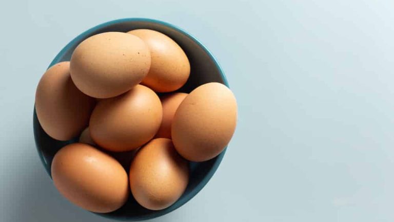 Receitas de Ovos em 11 formas diferentes