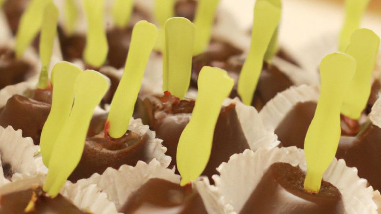 Receita de Forminhas de Chocolate