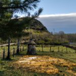 Panetone de Liquidificador