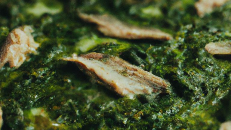 Receita de Pizza de Talos de Espinafre e Sardinha