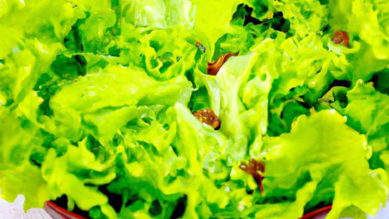 Receita de Salada Revigorante