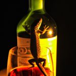 Lagarto no Vinho