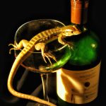 Lagarto no Vinho