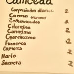 Pudim de Leite Condensado