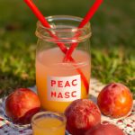 Espetinho de frutas tropicais